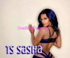 Ts Sasha visiting? (LAST NITE IN TOWN) Satisfaction Guaranteed?? NO ? CHEAP MEN