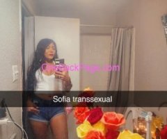 sofia tu transexual ardiente y fogosa aki en el valle