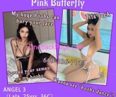 Pink Butterfly-Most professional sex club 669-336-7013