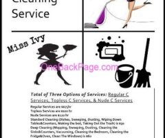 Fresh & Clean Cleaning Service