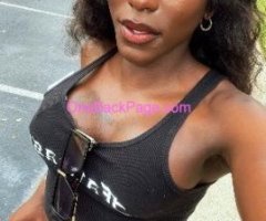 ?VISITING!!! EXOTIC CHOCOLATE 10inch verse Top