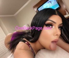 Mia Verse Hosting Available Real TS Baddiee Thousand oaks CA Hosting ! incalls Only