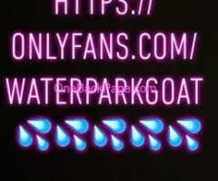 Water Park Goat ? 256-402-9685