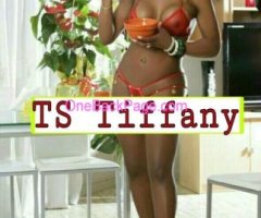 ANACONDA?VISITING MORENA?CUBANA ?TS~TIFFANY ?10'in~TOP~BOTT