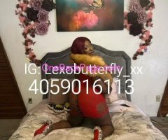 GOOGLE Lexo Butterfly ? LATE NIGHT Fantasy? .