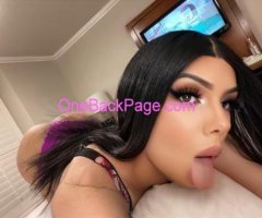Mia Verse Hosting Available Real TS Baddiee San diego CA Hosting ! incalls & outcalls !