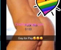 Gay For Pay .. New to this . I love regulars ???