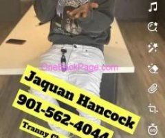 Tranny Chaser. Ladies Beware!!! Jaquan Hancock