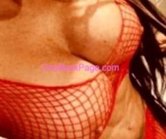 EROTIC PAM HOT tight n ready! north hollywood