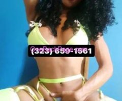 Gorgeous TS w/Hard Dick Call Now (323) 659-1561