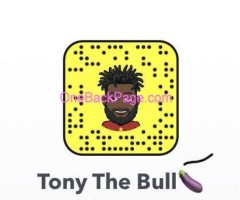 Tony The Bull??? 1 Night Only