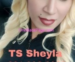 SEXY AND REAL LATINA TS HERE ,SHEYLA