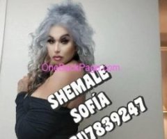 OKAY!! DO YOU WANT MUTUAL SEX… ????!!(GIVE AND RECEIVE OR JUST GIVE I JUST ARRIVED IN SALINAS AND I INVITE YOU TO VISIT ME!! HOTEL INCLUDED WITH YOUR ? ?!!