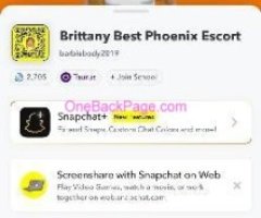 Brittany Best Phoenix Companion