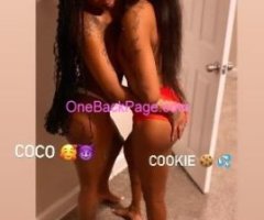 COOKIE THE TREAT? xx COCO the coco puff FACETIME AND DUO TO LINK ??