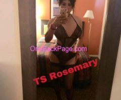 Sexy versatile Shemale Rosemary
