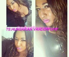 Ts hungarian VANDERPUMP *NO TEXTING CALL**