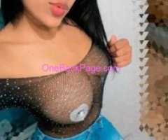 latina disponible