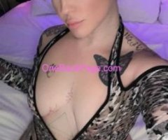 Sexy Curvy Tatted Vixen ? Incalls? Two Girl Special ?