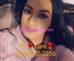 TS ?LANI? Hosting in BURIEN ?