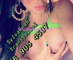 ????TRANSSEXUAL SYLVANNAH No deposit No upfront payment IM REA?⚜?☘?