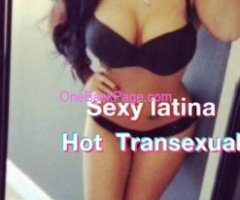 Hot sexy Latina transexual ready to play now!!!!