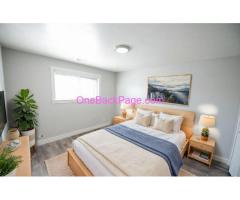 Apartment available1 bed 1 bath 600sqft