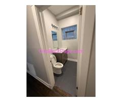 3 Bed,1 Bath,  2,800 sq ft