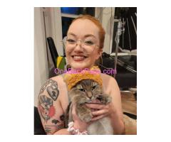 Sensual nude massage with body-to-body, GFE, and relaxing intimate experience.