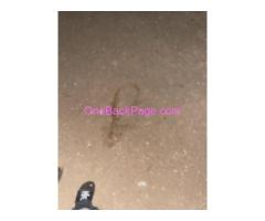I OFFER NUDE MASSAGE BODY RUB , ANAL BODY TO BODY MASSAGE GFE BJ 69 EROTIC
